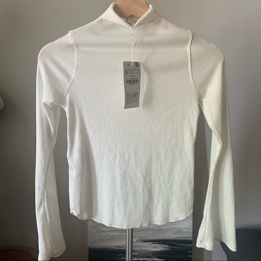 Zara Semi Sheer Top
